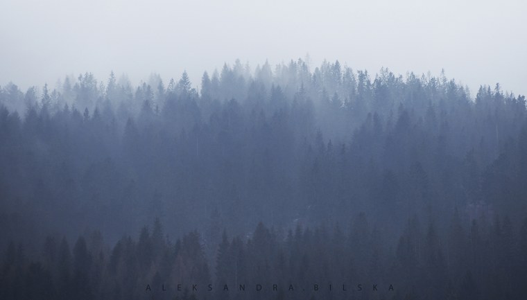 Аниме закат