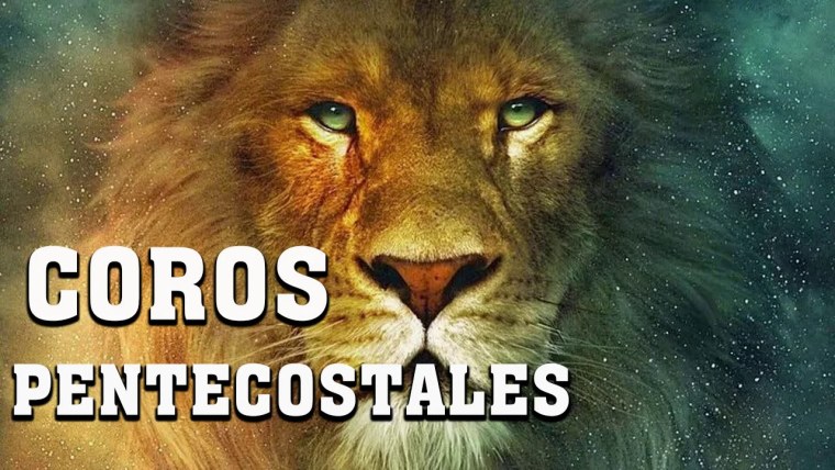 Логотипы шоколадных брендов