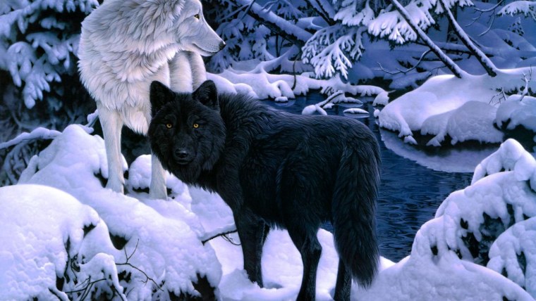 Черный волк