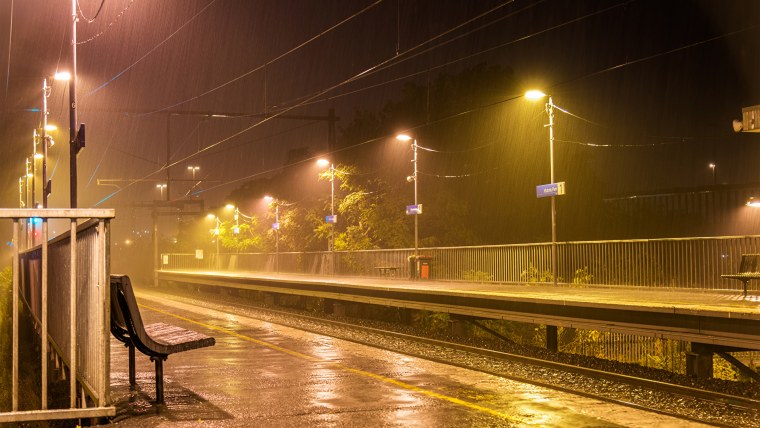 Лето в городе