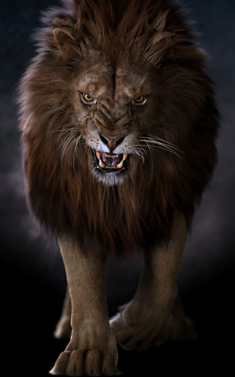 Лев рычит