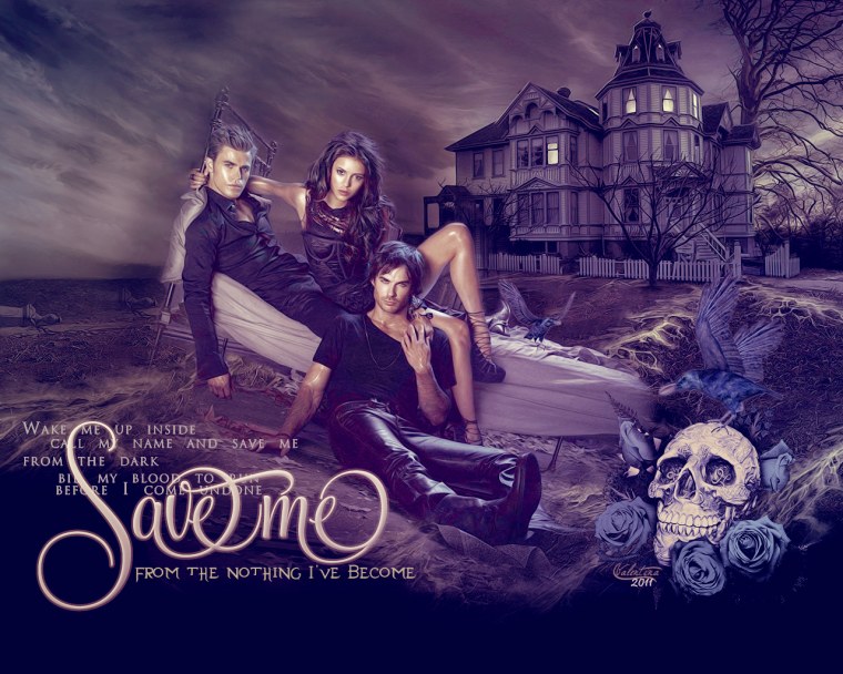 Дневники вампира 1 сезон обложка