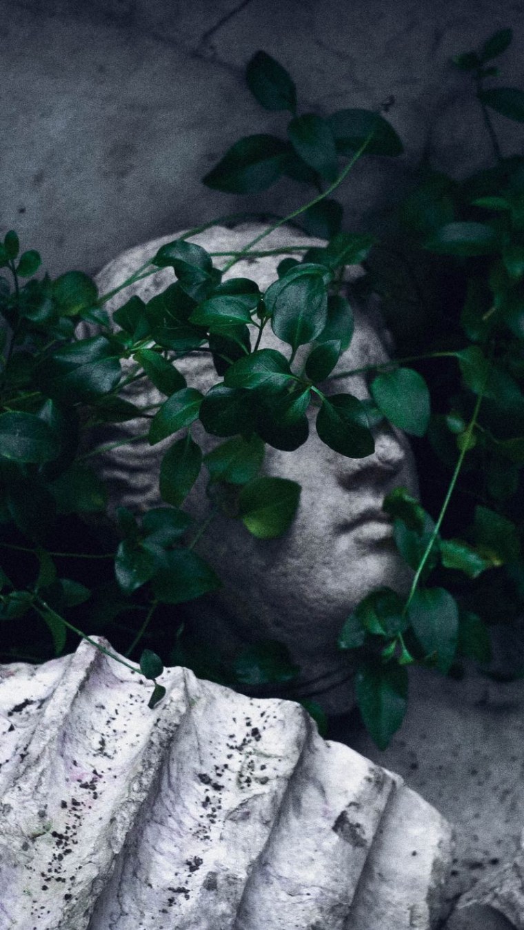 Память Эстетика вертикальная