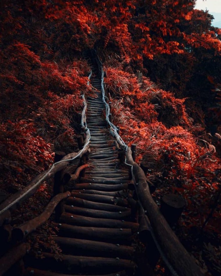 Эстетика природы