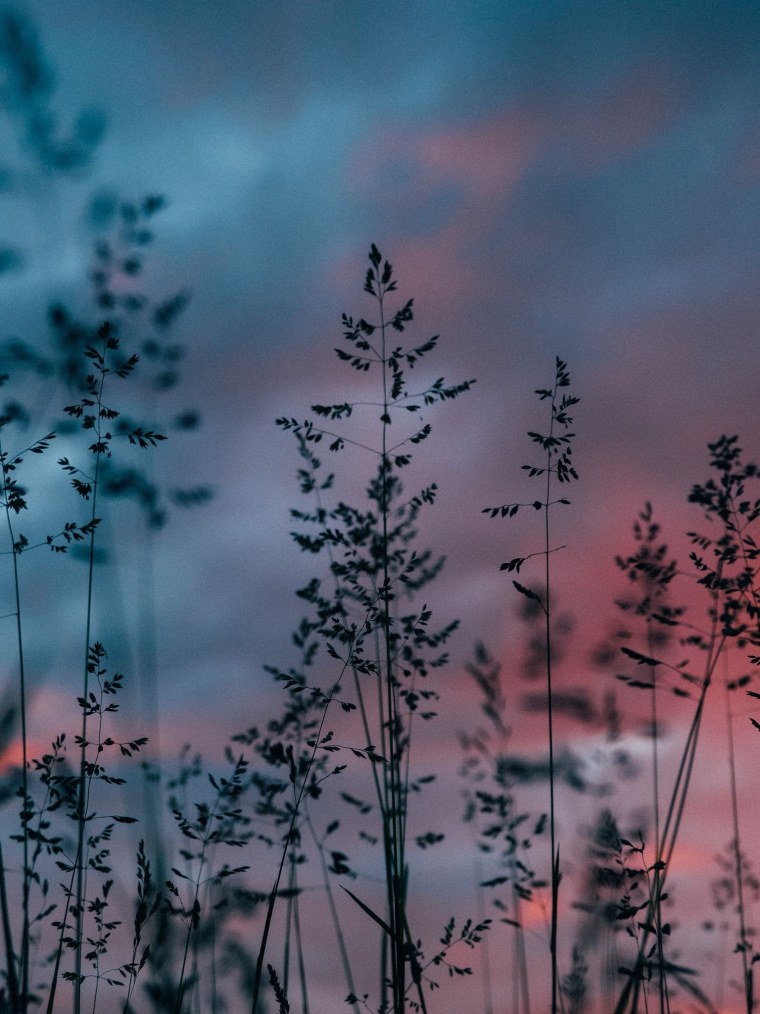 Пейзажи природы Эстетика