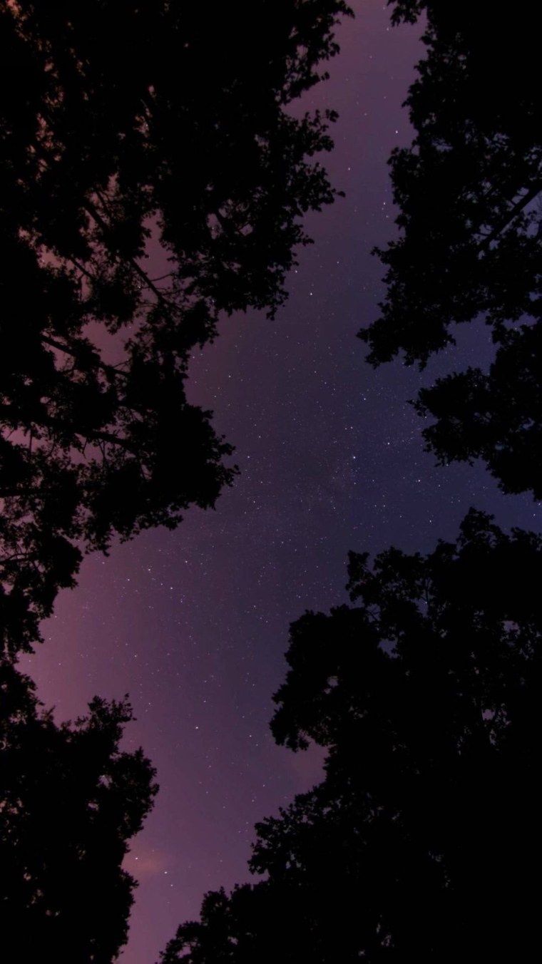 Эстетика вертикально