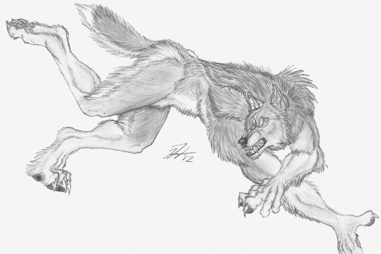 Оборотень рисунок