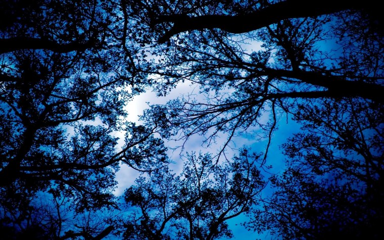 Темно синий в природе