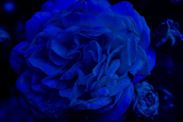 Ночная улица в синих тонах