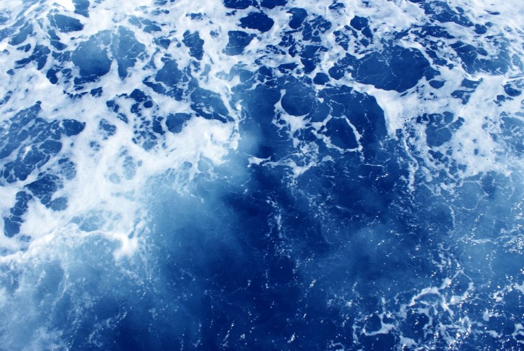 Синие цветы