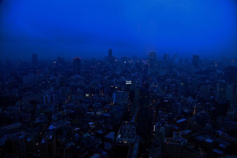 Голубь Эстетика