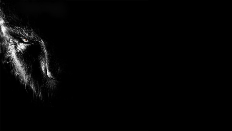 Обои на рабочий стол прикольные