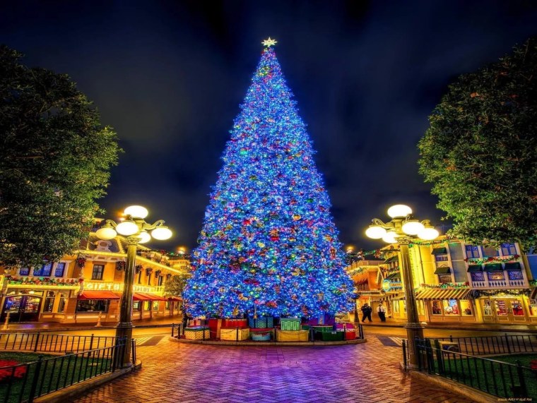 Красивая елка