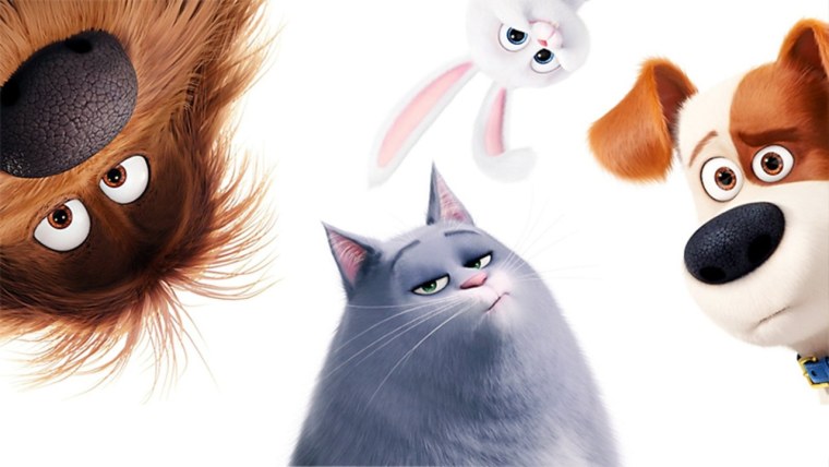 Пушин Кэт мультик