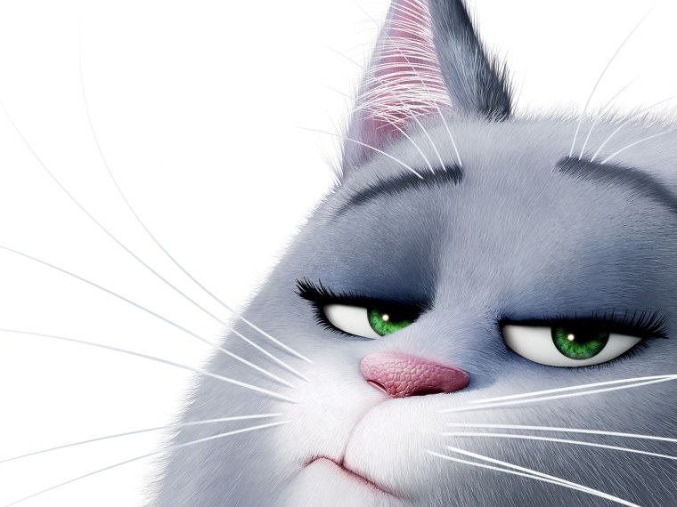 Серый кот из мультика