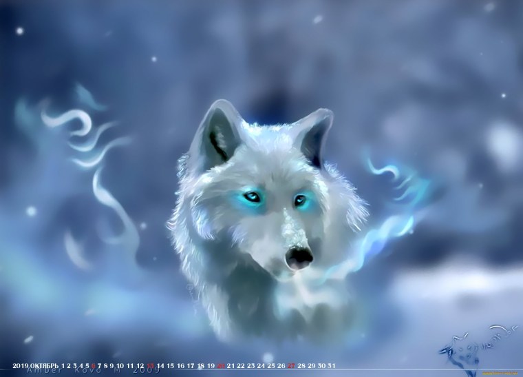 Белый волк с голубыми глазами