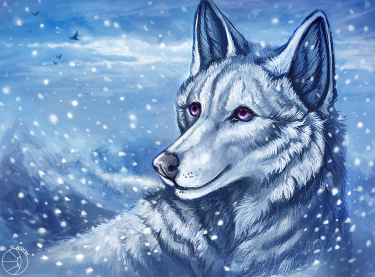 Волк с голубыми глазами арт