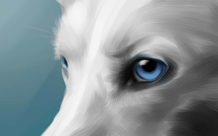 Волчица с голубыми глазами