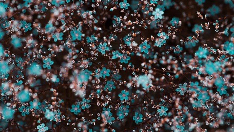 Красивый бирюзовый