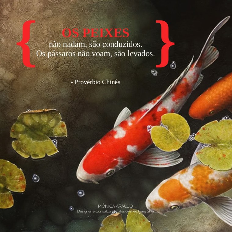 Карпы кои Терри Жилецки