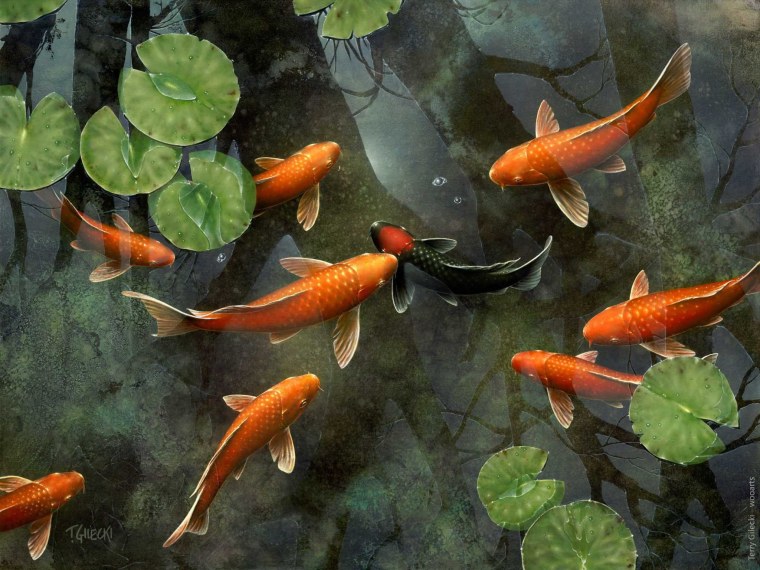 Карпы кои Терри Жилецки