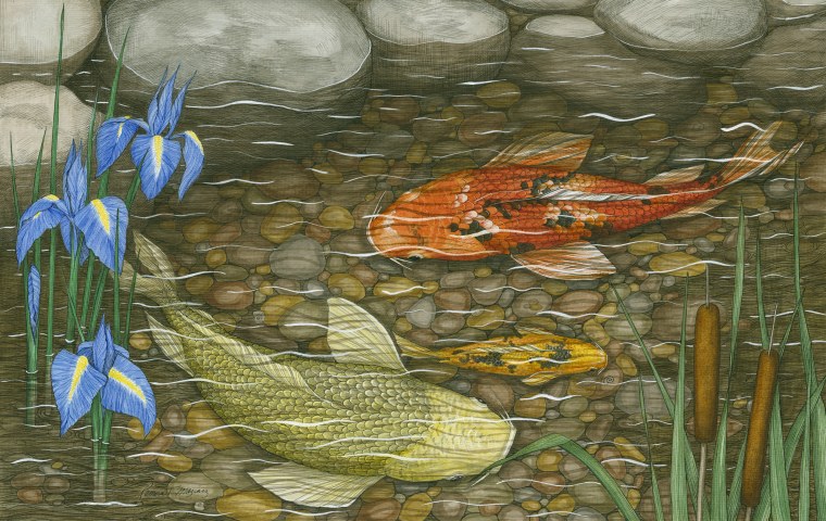 Рыбки в пруду рисунок