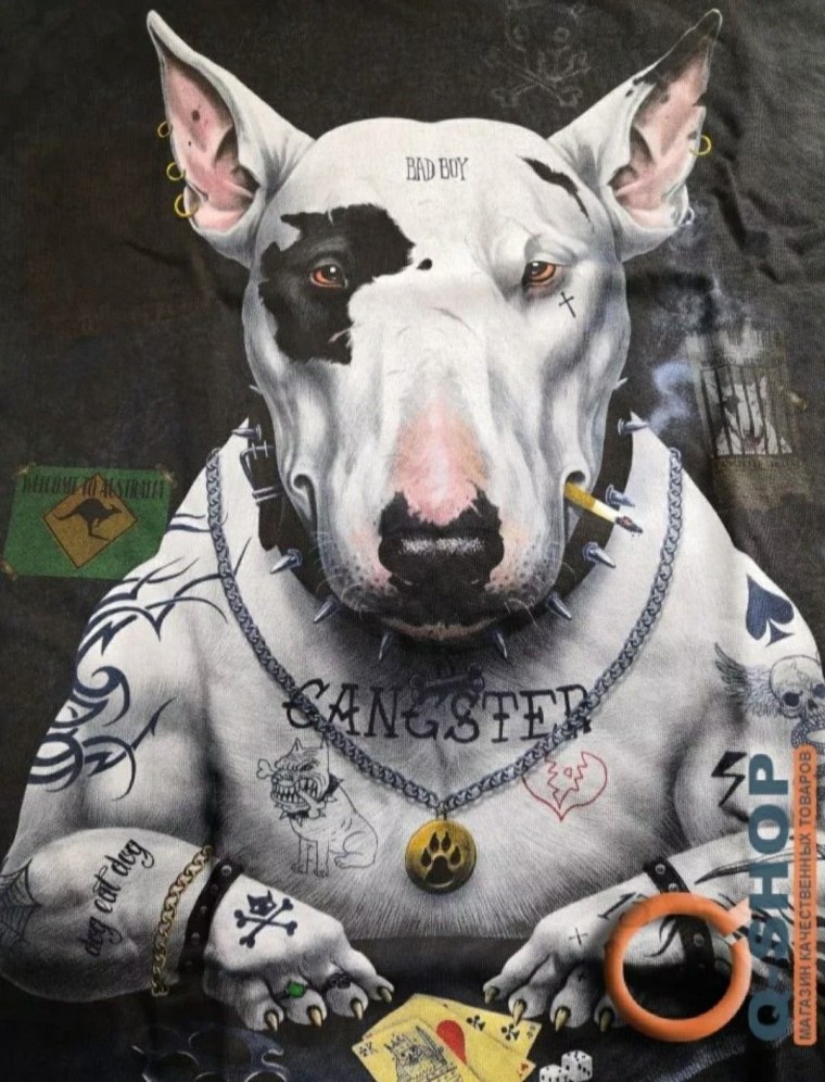 Бультерьер злой