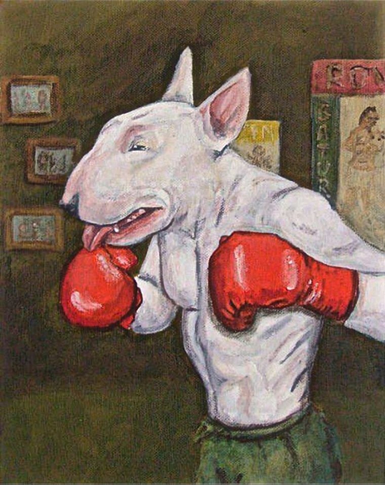 Бультерьер в боксерских перчатках