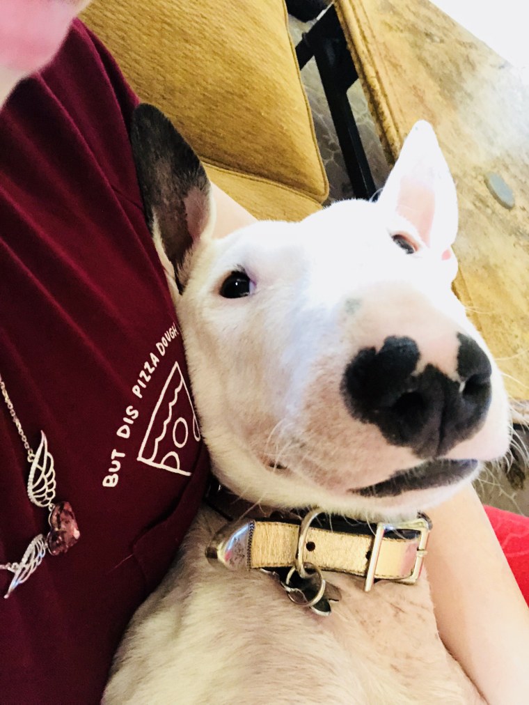 Девушка с бультерьером