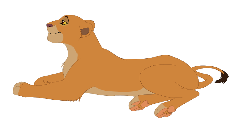 Симба взрослый на белом фоне