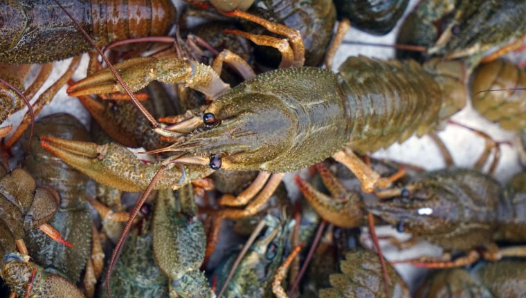 Севанский краб