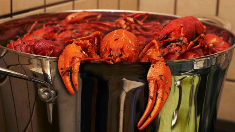 Раковарня Рязань