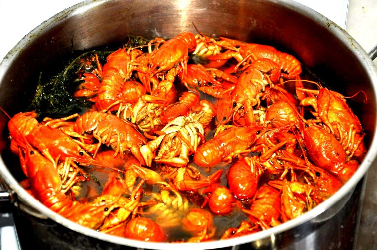 Рачки маленькие вареные