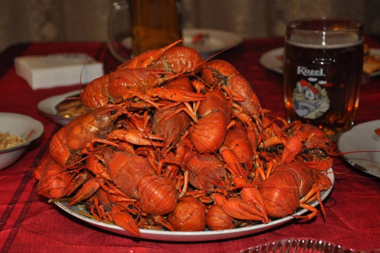 Рачки пивные