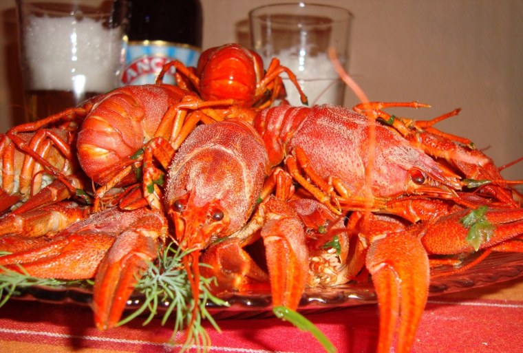 Крабы омары пиво