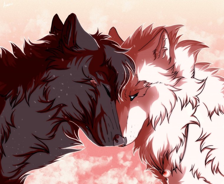 Красивые арты Волков