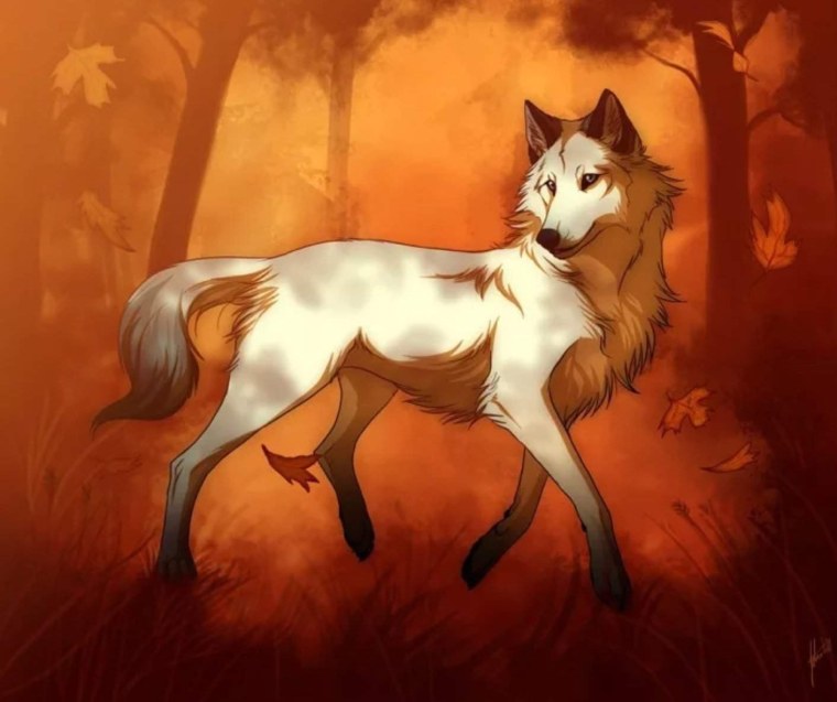 Коричневый волк арт