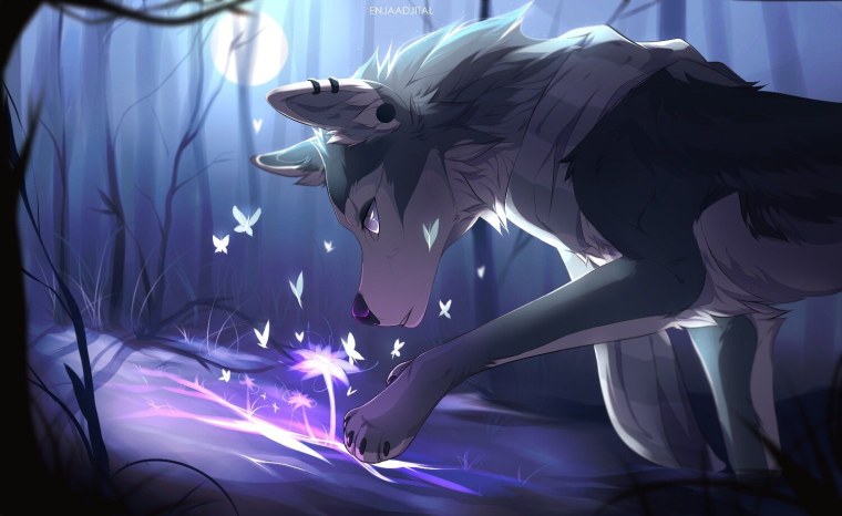 Фото аниме Волков