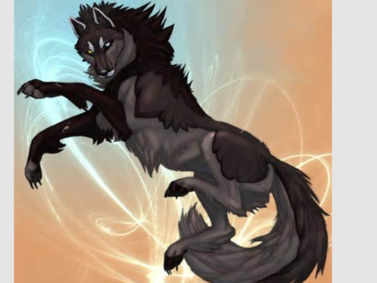 Волков воителей