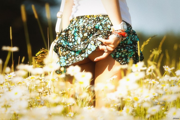 Ромашки в руках