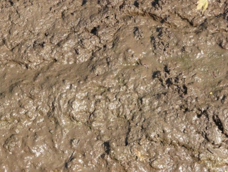 Текстура засохшей грязи