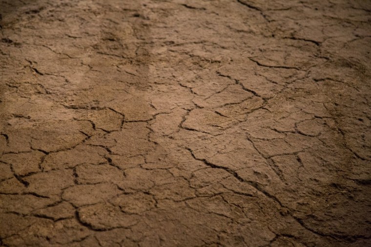 Мокрые ноги