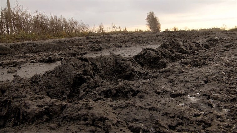 Грунт текстура 3ds Max