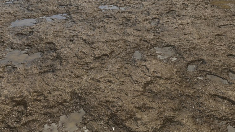 Фестиваль грязи в Бразилии