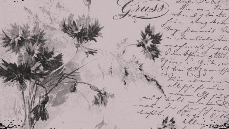 Литературный фон