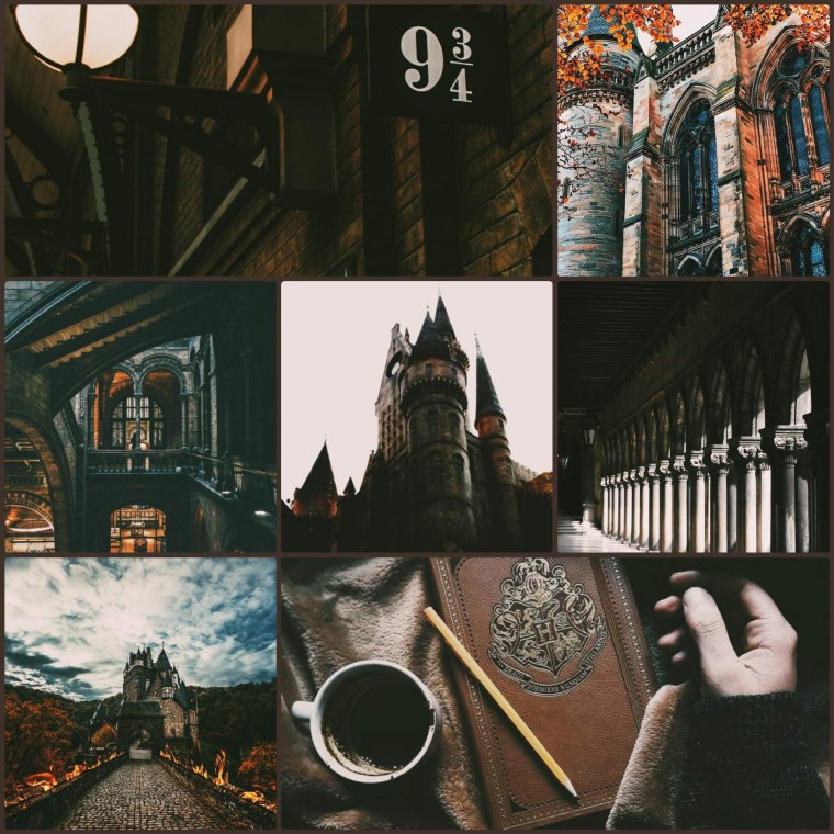 Эстетика Гарри Поттера Гриффиндор