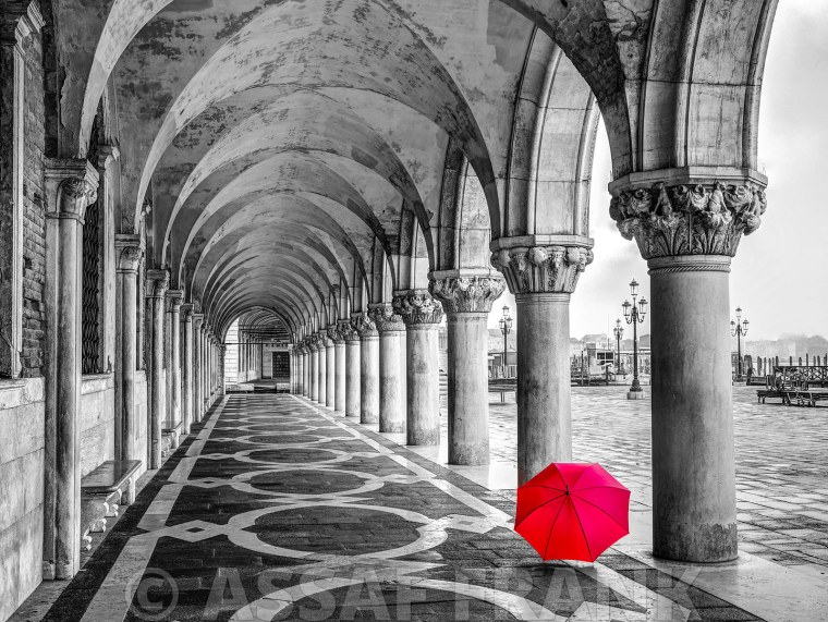 Assaf Frank фотограф