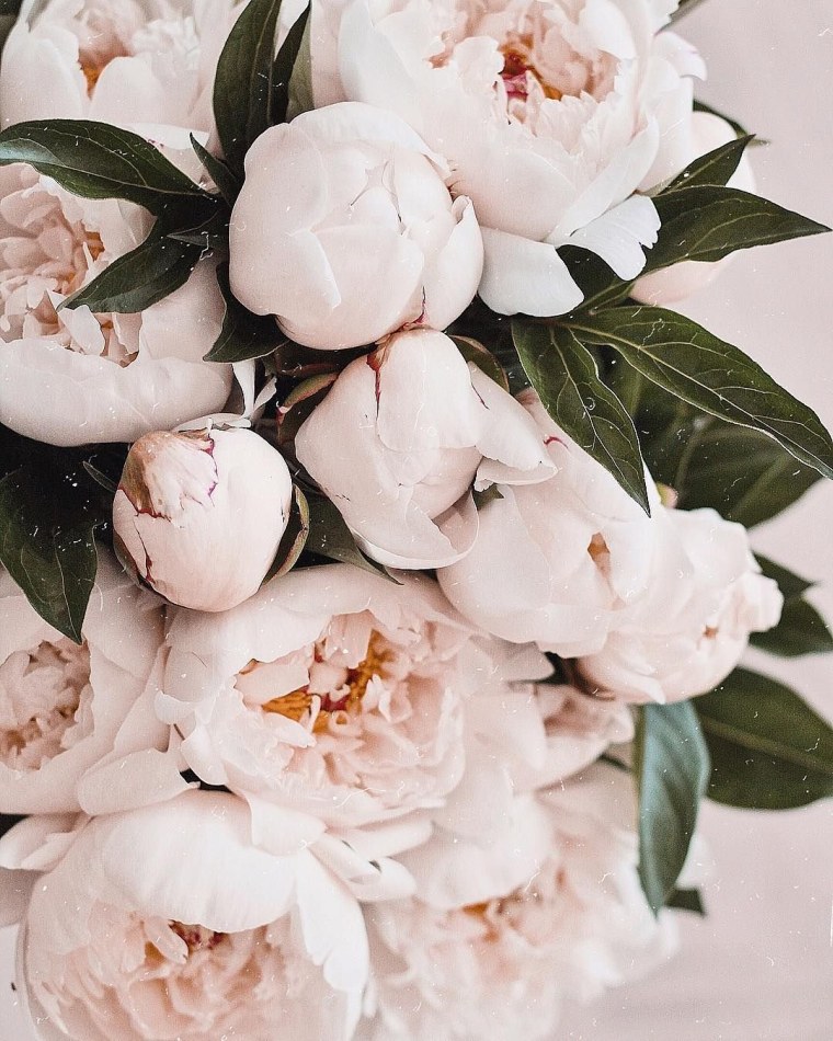 Букет с пионами