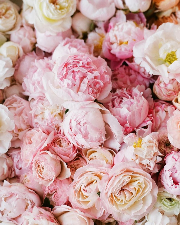 Серые пионы