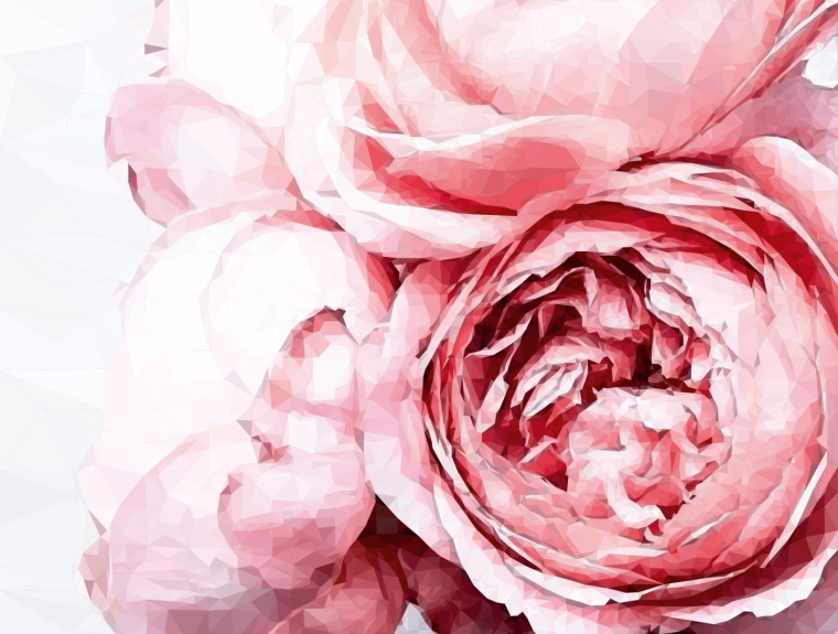 Пурпл Пиони